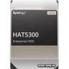20000Gb Synology HAT5300 HAT5310-20T
