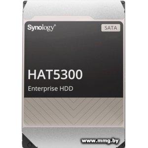 20000Gb Synology HAT5300 HAT5310-20T