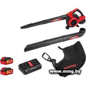 Воздуходувка Wortex BB 2536-1 D ALL1 1333418 (с 2-мя АКБ)