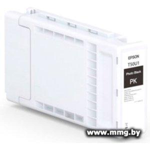 Картридж Epson XD3 T50U1 Photo Black C13T50U100
