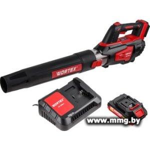 Воздуходувка Wortex BB 2018 D ALL1 XLT Set 1333739 (с 1-им А