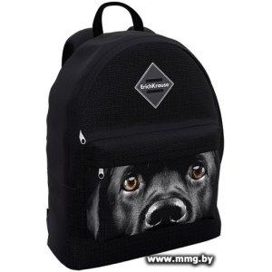 Рюкзак Erich Krause EasyLine 17L Black Dog 60324