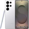 Samsung Galaxy S25 Ultra SM-S938B 12GB/512GB (серебряный тит