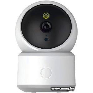 IP-камера Ritmix IPC-310-Tuya