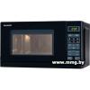 Sharp R242BKW