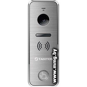 Tantos iPanel 2+ (серебристый)
