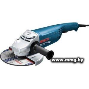 Bosch GWS 24-230 JH Professional (0601884203)