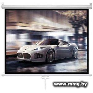 Future Vision Business 300 300x218 W300WMW