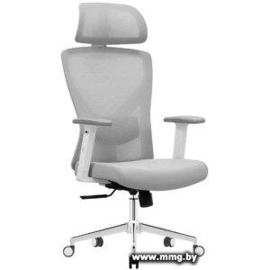 Evolution ErgoLine 2 (серый)