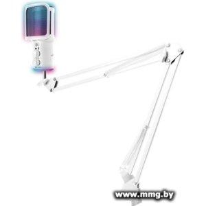 Микрофон Ritmix RDM-278 USB Gaming (белый)