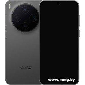 Vivo X300 V2515 12GB/256GB (черный)