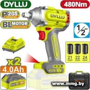 Dyllu DTCD1B483 (с 2-мя АКБ, кейс)