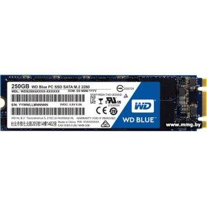 Купить SSD 250GB WD Blue M.2 2280 (WDS250G1B0B) в Минске, доставка по Беларуси