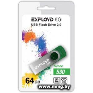 64GB Exployd 530 green