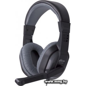 Купить Ritmix RH-534M в Минске, доставка по Беларуси