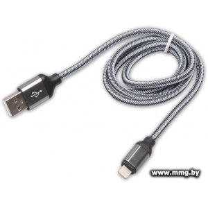 Купить Кабель Ritmix RCC-421 в Минске, доставка по Беларуси