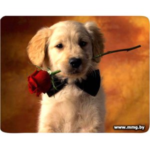 Купить Buro BU-M40089 "щенок" в Минске, доставка по Беларуси