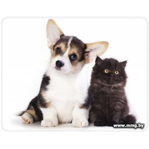 Купить Buro BU-M40095 "котенок и щенок" в Минске, доставка по Беларуси