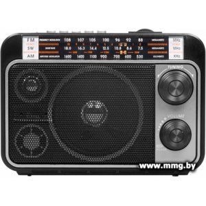 Купить Радиоприемник Ritmix RPR-171 в Минске, доставка по Беларуси