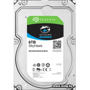 6000Gb Seagate Skyhawk ST6000VX001