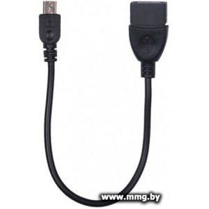 Адаптер Ritmix RCC-010