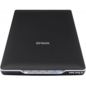 Epson Perfection V19