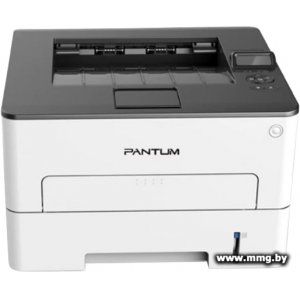 Pantum P3300DW