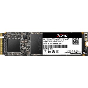 Купить SSD 250GB A-Data XPG SX6000 Pro (ASX6000PNP-256GT-C) в Минске, доставка по Беларуси