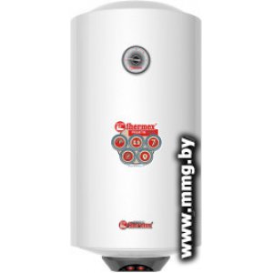 Купить Thermex Praktik 50 V Slim в Минске, доставка по Беларуси