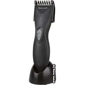 Купить Maxwell MW-2114 GR в Минске, доставка по Беларуси