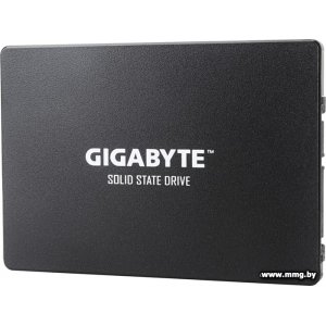SSD 1TB Gigabyte GP-GSTFS31100TNTD