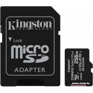 Купить Kingston 256GB microSDXC Canvas Select Plus SDCS2/256GB +adp в Минске, доставка по Беларуси