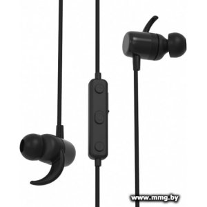 Ritmix RH-490BTH