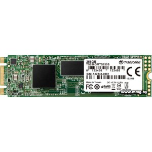 Купить SSD 256GB Transcend 830S [TS256GMTS830S] в Минске, доставка по Беларуси
