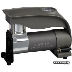 Беркут R14