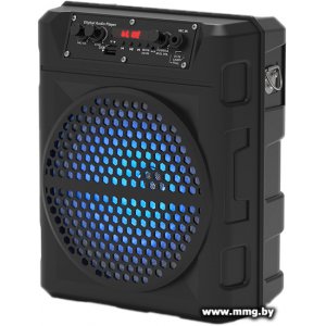Купить Ritmix SP-810B черный в Минске, доставка по Беларуси