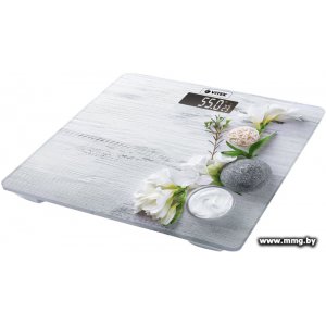 Купить Vitek VT-8077 в Минске, доставка по Беларуси