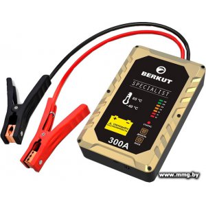 Купить Беркут JSC-300C в Минске, доставка по Беларуси