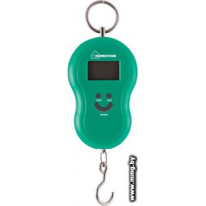 Купить HomeStar HS-3003 в Минске, доставка по Беларуси