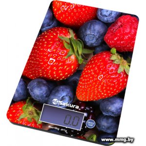 Купить Sakura SA-6075B в Минске, доставка по Беларуси