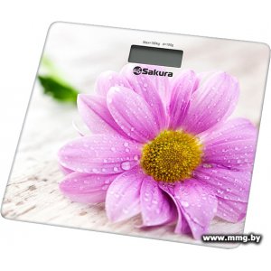 Купить Sakura SA-5072GW в Минске, доставка по Беларуси