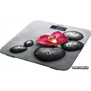 Купить Vitek VT-8084 в Минске, доставка по Беларуси