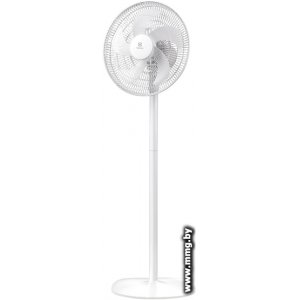 Electrolux EFF-1005