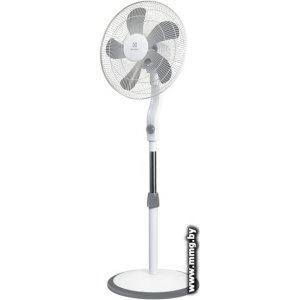 Купить Electrolux EFF-1003D в Минске, доставка по Беларуси