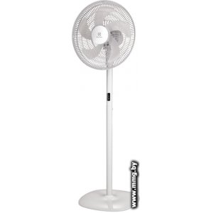 Купить Electrolux EFF-1002i в Минске, доставка по Беларуси