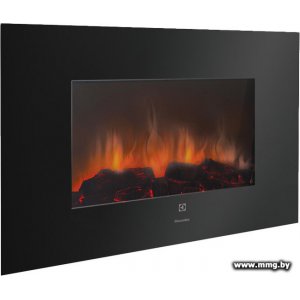 Купить Electrolux EFP/W-1250ULS в Минске, доставка по Беларуси