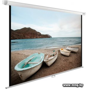Купить CACTUS WallExpert 240x150 CS-PSWE-240x150-WT в Минске, доставка по Беларуси