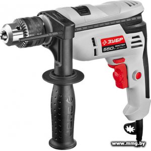 Купить Зубр ДУ-550 ЭР в Минске, доставка по Беларуси