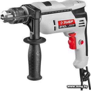 Купить Зубр ДУ-810 ЭРМ2 в Минске, доставка по Беларуси