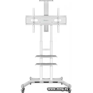 Купить Кронштейн Onkron TS1881W (белый) в Минске, доставка по Беларуси